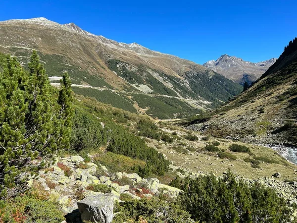 Alp Vadisi 'nin güzel sonbahar manzarası Val Grialetsch ve Albula Alp Dağları' ndaki Aua da Grialetsch nehri, Zernez Kantonu, İsviçre (Kanton Graubuenden, Schweiz)