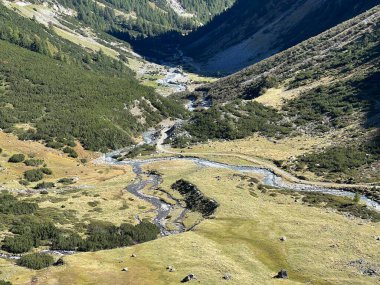 Dağ deresi Aua da Grialetsch Albula Alpleri 'nin güzel sonbahar manzarası Val Grialetsch, Zernez - Grisonlar Kantonu, İsviçre (Kanton Graubuenden, Schweiz)