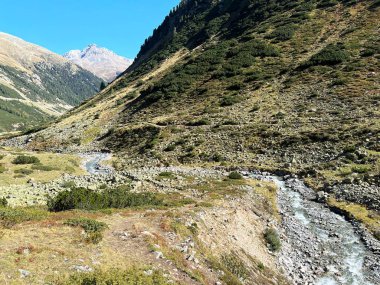 Dağ deresi Aua da Grialetsch Albula Alpleri 'nin güzel sonbahar manzarası Val Grialetsch, Zernez - Grisonlar Kantonu, İsviçre (Kanton Graubuenden, Schweiz)