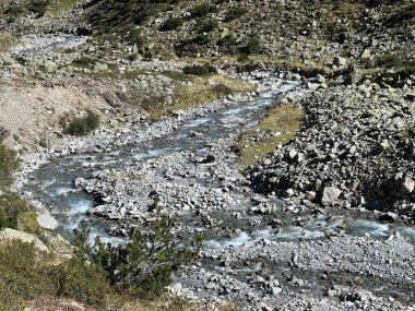 Dağ deresi Aua da Grialetsch Albula Alpleri 'nin güzel sonbahar manzarası Val Grialetsch, Zernez - Grisonlar Kantonu, İsviçre (Kanton Graubuenden, Schweiz)