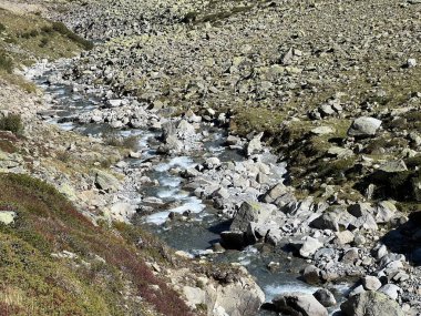 Dağ deresi Aua da Grialetsch Albula Alpleri 'nin güzel sonbahar manzarası Val Grialetsch, Zernez - Grisonlar Kantonu, İsviçre (Kanton Graubuenden, Schweiz)