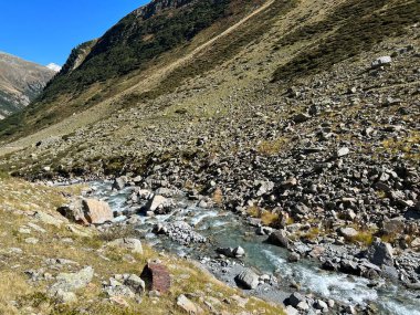 Dağ deresi Aua da Grialetsch Albula Alpleri 'nin güzel sonbahar manzarası Val Grialetsch, Zernez - Grisonlar Kantonu, İsviçre (Kanton Graubuenden, Schweiz)