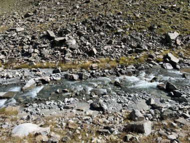 Dağ deresi Aua da Grialetsch Albula Alpleri 'nin güzel sonbahar manzarası Val Grialetsch, Zernez - Grisonlar Kantonu, İsviçre (Kanton Graubuenden, Schweiz)