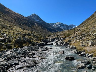 Dağ deresi Aua da Grialetsch Albula Alpleri 'nin güzel sonbahar manzarası Val Grialetsch, Zernez - Grisonlar Kantonu, İsviçre (Kanton Graubuenden, Schweiz)
