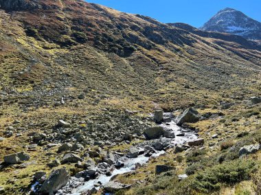 Dağ deresi Aua da Grialetsch Albula Alpleri 'nin güzel sonbahar manzarası Val Grialetsch, Zernez - Grisonlar Kantonu, İsviçre (Kanton Graubuenden, Schweiz)