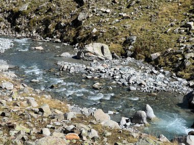 Dağ deresi Aua da Grialetsch Albula Alpleri 'nin güzel sonbahar manzarası Val Grialetsch, Zernez - Grisonlar Kantonu, İsviçre (Kanton Graubuenden, Schweiz)