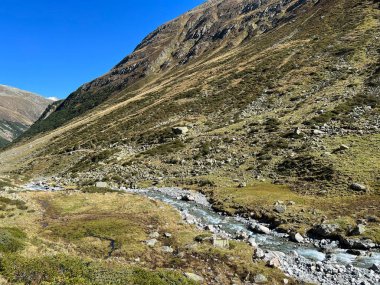 Dağ deresi Aua da Grialetsch Albula Alpleri 'nin güzel sonbahar manzarası Val Grialetsch, Zernez - Grisonlar Kantonu, İsviçre (Kanton Graubuenden, Schweiz)