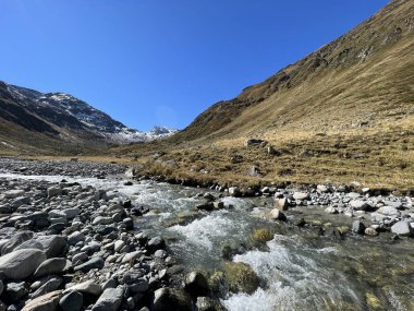 Dağ deresi Aua da Grialetsch Albula Alpleri 'nin güzel sonbahar manzarası Val Grialetsch, Zernez - Grisonlar Kantonu, İsviçre (Kanton Graubuenden, Schweiz)