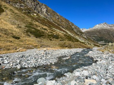 Dağ deresi Aua da Grialetsch Albula Alpleri 'nin güzel sonbahar manzarası Val Grialetsch, Zernez - Grisonlar Kantonu, İsviçre (Kanton Graubuenden, Schweiz)
