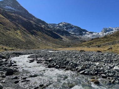 Dağ deresi Aua da Grialetsch Albula Alpleri 'nin güzel sonbahar manzarası Val Grialetsch, Zernez - Grisonlar Kantonu, İsviçre (Kanton Graubuenden, Schweiz)