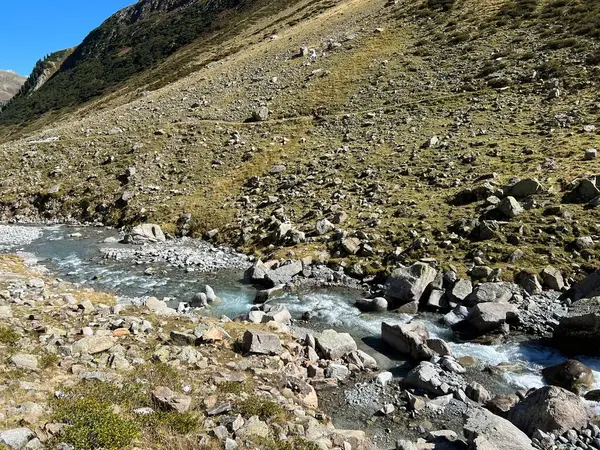 stock image Mountain stream Aua da Grialetsch in the beautiful autumn setting of the alpine valley Val Grialetsch of the Albula Alps massif, Zernez - Canton of Grisons, Switzerland (Kanton Graubuenden, Schweiz)