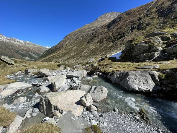 Bergbeekje Aua Grialetsch Het Prachtige Herfstdecor Van Het Alpendal Val — Stockfoto