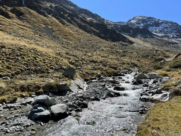 Dağ deresi Aua da Grialetsch Albula Alpleri 'nin güzel sonbahar manzarası Val Grialetsch, Zernez - Grisonlar Kantonu, İsviçre (Kanton Graubuenden, Schweiz)