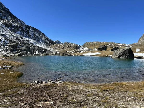 오두막 Chanawa Grialetsch Cas Grialetsch Huette Sac 알불라 알프스 산기슭에 — 스톡 사진
