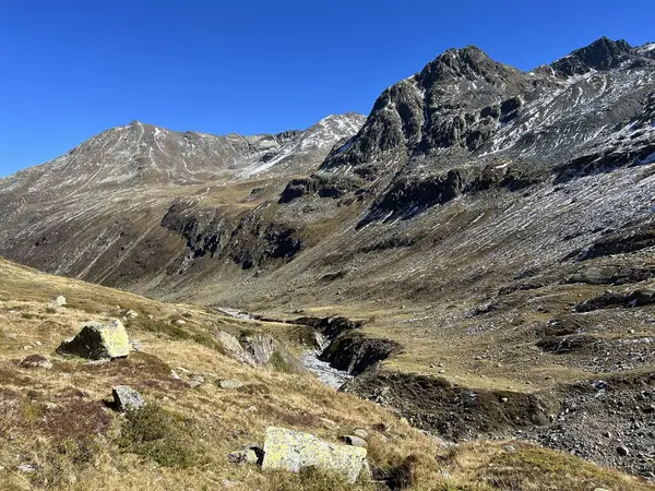 Beau Panorama Automne Sur Vallée Alpine Val Grialetsch Ruisseau Aua — Photo