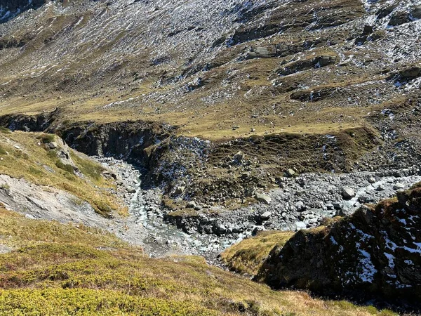 stock image Mountain stream Aua da Grialetsch in the beautiful autumn setting of the alpine valley Val Grialetsch of the Albula Alps massif, Zernez - Canton of Grisons, Switzerland (Kanton Graubuenden, Schweiz)