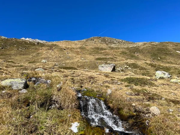 Podzimní Vysokohorské Pastviny Vysokohorských Vrcholcích Alpách Nad Švýcarským Horským Průsmykem — Stock fotografie