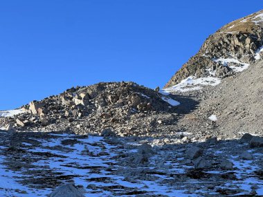 İsviçre 'nin muhteşem dağ kütlesi Abula Alpleri' nin, Zernez 'in, İsviçre' nin Grisonbahar karlarının erimesi (Kanton Graubuenden, Schweiz)