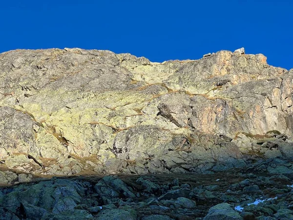 Камені Камені Осінньому Альпійському Середовищі Альбула Вище Швейцарської Гірської Дороги — стокове фото