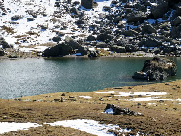Υψηλές Αλπικές Λίμνες Δίπλα Από Την Καλύβα Στο Βουνό Chamanna — Φωτογραφία Αρχείου