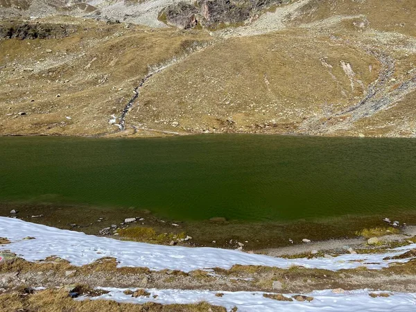 位于瑞士格里森州Zernez山区Albula阿尔卑斯山山区和Dischma高山谷之上的高山湖Furggasee Furgga Lake See Furggasee Kanton Graubuenden Schweiz — 图库照片