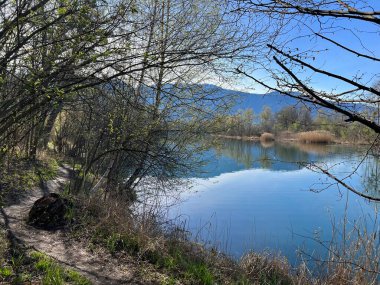 Sport- und Freizeitwege im Naturpark Alter Rhein oder Naturpark am Alten Rhein, Lustenau - Oesterreich (Oesterreich))