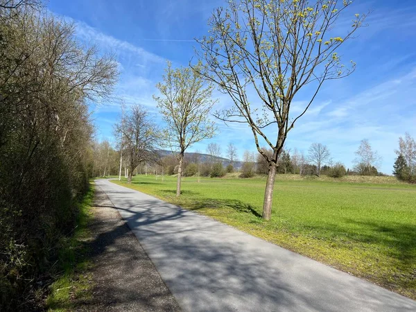 Sport- und Freizeitwege im Naturpark Alter Rhein oder Naturpark am Alten Rhein, Lustenau - Oesterreich (Oesterreich))