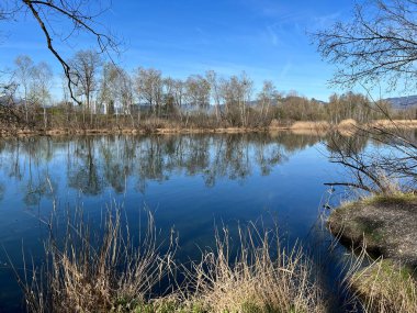 Eski Ren Doğa Parkı, Lustenau (Avusturya) - Vorfruehlings Stimmung im Naturpark Alter Rhein oder Naturpark am Alten Rhein, Lustenau - Oesterreich)