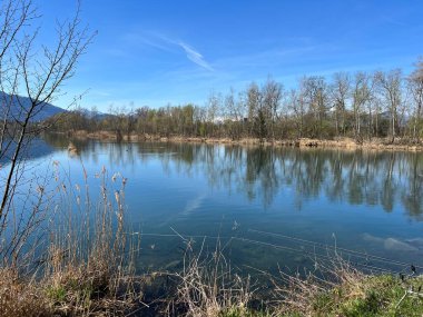 Eski Ren Doğa Parkı, Lustenau (Avusturya) - Vorfruehlings Stimmung im Naturpark Alter Rhein oder Naturpark am Alten Rhein, Lustenau - Oesterreich)