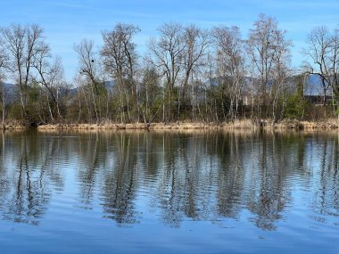 Eski Ren Doğa Parkı, Lustenau (Avusturya) - Vorfruehlings Stimmung im Naturpark Alter Rhein oder Naturpark am Alten Rhein, Lustenau - Oesterreich)