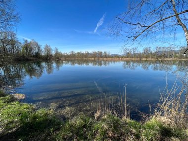Eski Ren Doğa Parkı, Lustenau (Avusturya) - Vorfruehlings Stimmung im Naturpark Alter Rhein oder Naturpark am Alten Rhein, Lustenau - Oesterreich)