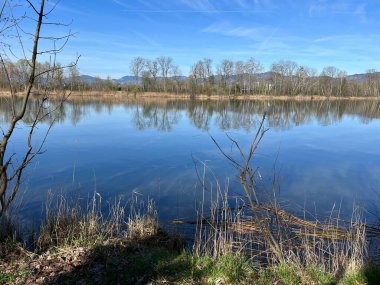 Eski Ren Doğa Parkı, Lustenau (Avusturya) - Vorfruehlings Stimmung im Naturpark Alter Rhein oder Naturpark am Alten Rhein, Lustenau - Oesterreich)