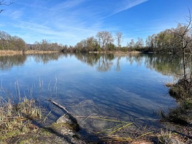 Eski Ren Doğa Parkı, Lustenau (Avusturya) - Vorfruehlings Stimmung im Naturpark Alter Rhein oder Naturpark am Alten Rhein, Lustenau - Oesterreich)