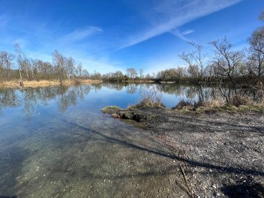 Eski Ren Doğa Parkı, Lustenau (Avusturya) - Vorfruehlings Stimmung im Naturpark Alter Rhein oder Naturpark am Alten Rhein, Lustenau - Oesterreich)