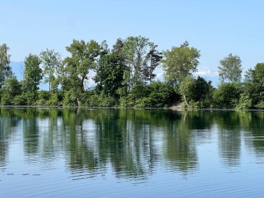 Eski Ren Doğa Parkı, Lustenau (Avusturya) - Vorfruehlings Stimmung im Naturpark Alter Rhein oder Naturpark am Alten Rhein, Lustenau - Oesterreich )