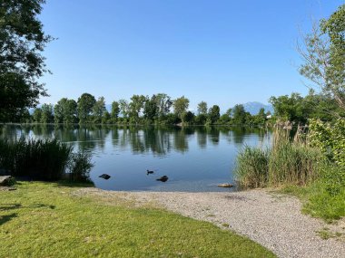 Eski Ren Doğa Parkı, Lustenau (Avusturya) - Vorfruehlings Stimmung im Naturpark Alter Rhein oder Naturpark am Alten Rhein, Lustenau - Oesterreich )