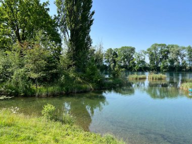 Eski Ren Doğa Parkı, Lustenau (Avusturya) - Vorfruehlings Stimmung im Naturpark Alter Rhein oder Naturpark am Alten Rhein, Lustenau - Oesterreich )