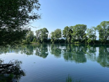 Eski Ren Doğa Parkı, Lustenau (Avusturya) - Vorfruehlings Stimmung im Naturpark Alter Rhein oder Naturpark am Alten Rhein, Lustenau - Oesterreich )