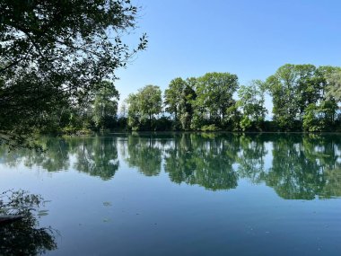 Eski Ren Doğa Parkı, Lustenau (Avusturya) - Vorfruehlings Stimmung im Naturpark Alter Rhein oder Naturpark am Alten Rhein, Lustenau - Oesterreich )