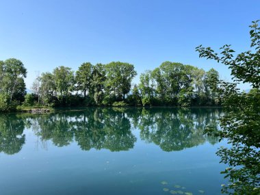 Eski Ren Doğa Parkı, Lustenau (Avusturya) - Vorfruehlings Stimmung im Naturpark Alter Rhein oder Naturpark am Alten Rhein, Lustenau - Oesterreich )