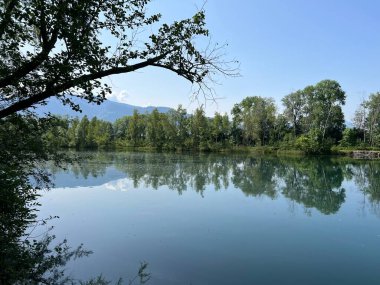 Eski Ren Doğa Parkı, Lustenau (Avusturya) - Vorfruehlings Stimmung im Naturpark Alter Rhein oder Naturpark am Alten Rhein, Lustenau - Oesterreich )