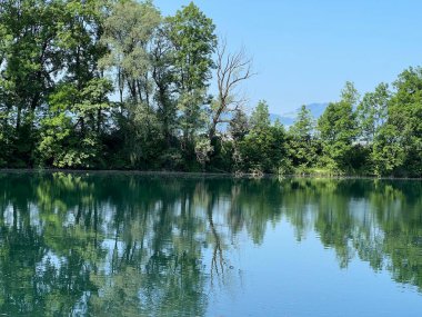 Eski Ren Doğa Parkı, Lustenau (Avusturya) - Vorfruehlings Stimmung im Naturpark Alter Rhein oder Naturpark am Alten Rhein, Lustenau - Oesterreich )