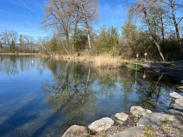 stock image Early spring atmosphere in the Old Rhine Nature Park, Lustenau (Austria) - Vorfruehlings Stimmung im Naturpark Alter Rhein oder Naturpark am Alten Rhein, Lustenau - Oesterreich (Osterreich)