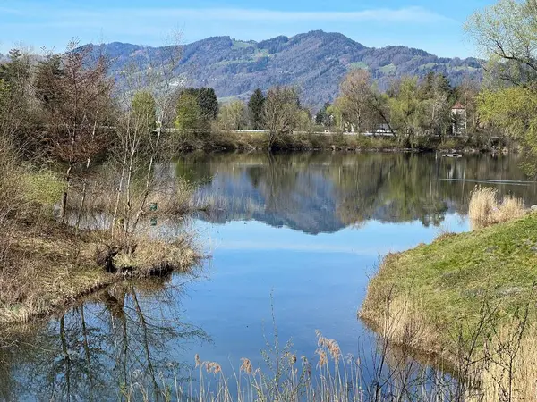 stock image Early spring atmosphere in the Old Rhine Nature Park, Lustenau (Austria) - Vorfruehlings Stimmung im Naturpark Alter Rhein oder Naturpark am Alten Rhein, Lustenau - Oesterreich (Osterreich)