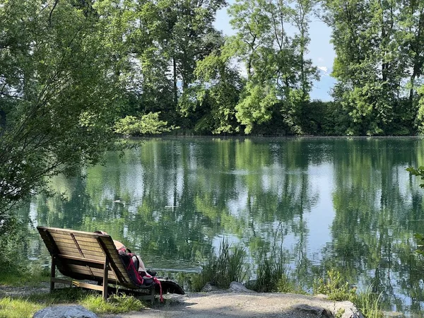 Літня Атмосфера Природному Парку Старого Рейну Лустенау Австрія Vorfruehlings Stimmung — стокове фото