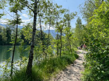 Sport- und Freizeitwege im Naturpark Alter Rhein oder Naturpark am Alten Rhein, Lustenau - Oesterreich (Oesterreich))