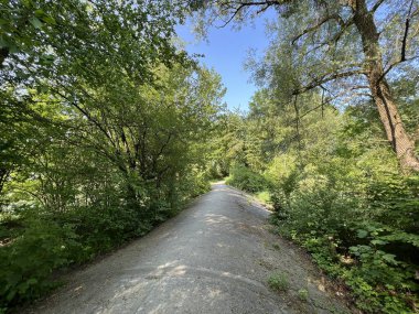 Lustenau (Avusturya) - das Rohr am Alten Rhein (Entwaesserungsrohr oder Abflussrohr Alter Rhein im Naturpark) - Osterreich)