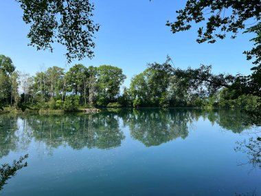 Eski Ren Doğa Parkı, Lustenau (Avusturya) - Vorfruehlings Stimmung im Naturpark Alter Rhein oder Naturpark am Alten Rhein, Lustenau - Oesterreich)