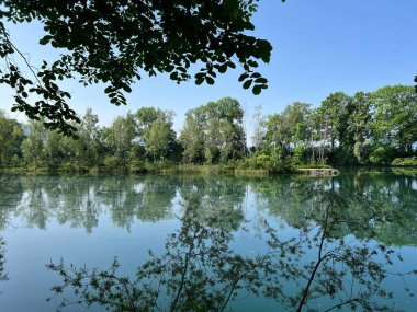 Eski Ren Doğa Parkı, Lustenau (Avusturya) - Vorfruehlings Stimmung im Naturpark Alter Rhein oder Naturpark am Alten Rhein, Lustenau - Oesterreich)