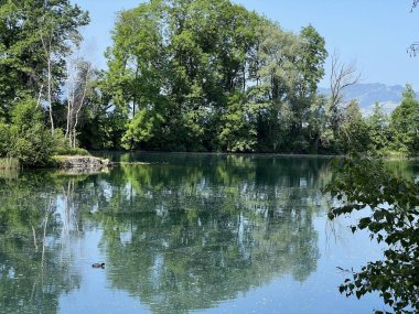 Eski Ren Doğa Parkı, Lustenau (Avusturya) - Vorfruehlings Stimmung im Naturpark Alter Rhein oder Naturpark am Alten Rhein, Lustenau - Oesterreich)